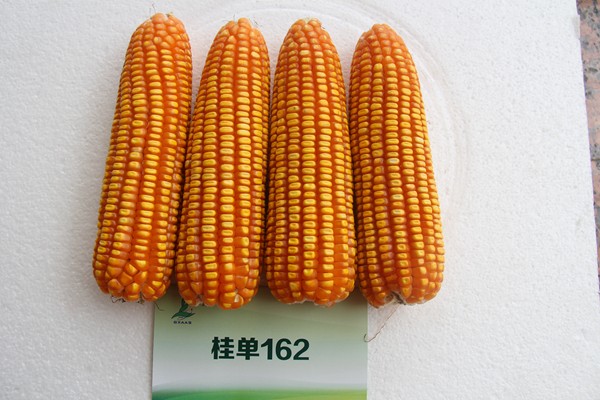 da661fa5-52fc-48b2-ba50-04fcdfdd525c.jpg